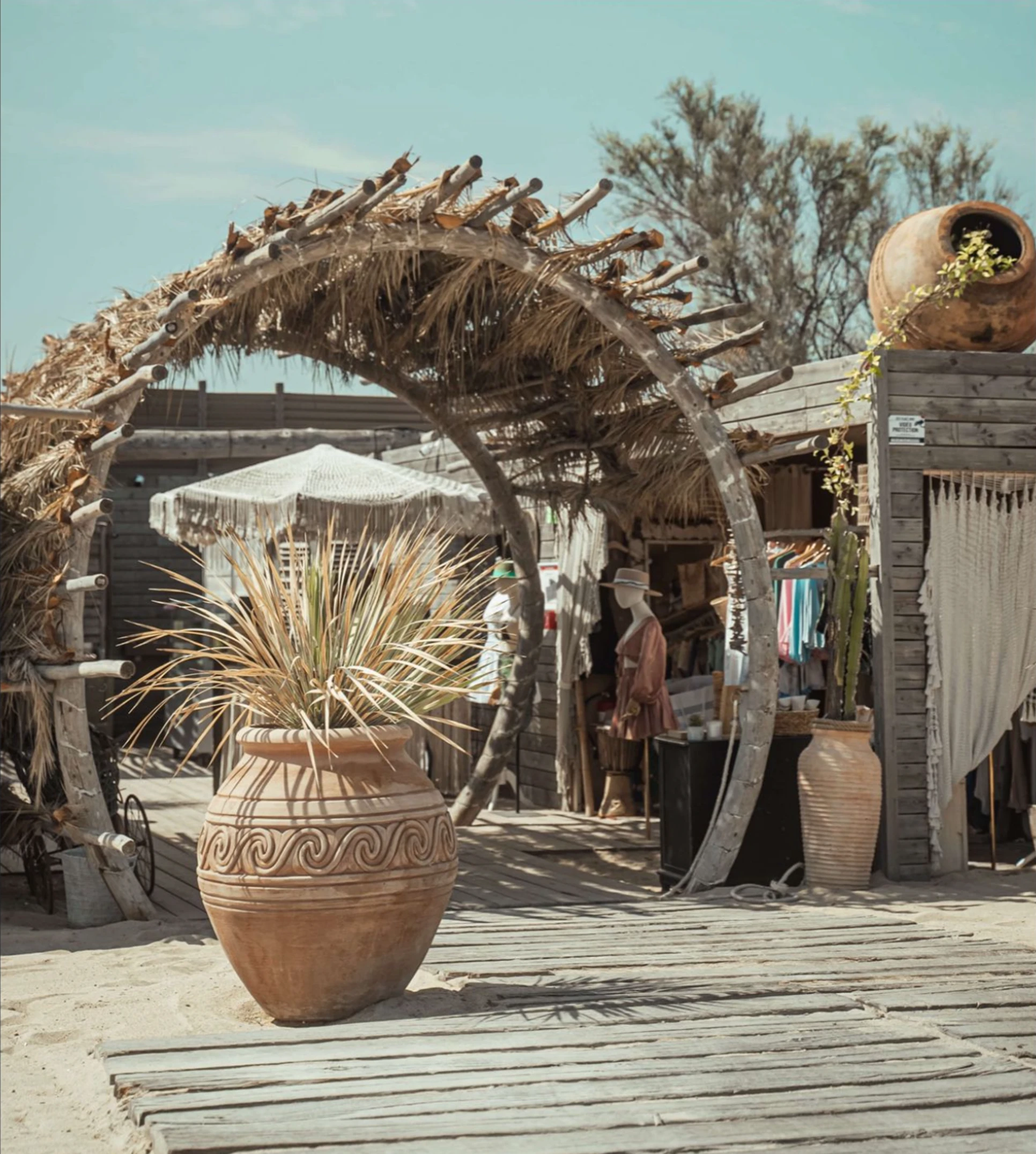 Verde Beach Club Dancing With Cocktail